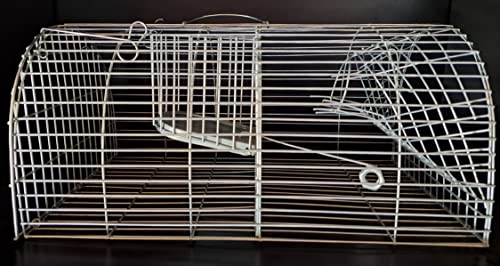 NASSE A Rats MULTIPRISES 40X23X18CM