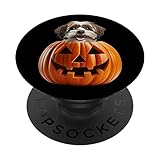 Photo Gallery shih tzu cane in tua tasca zucca di halloween popsockets popgrip intercambiabile Photo Gallery shih tzu cane in tua tasca zucca di halloween popsockets popgrip intercambiabile