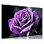 Purple Flower 12