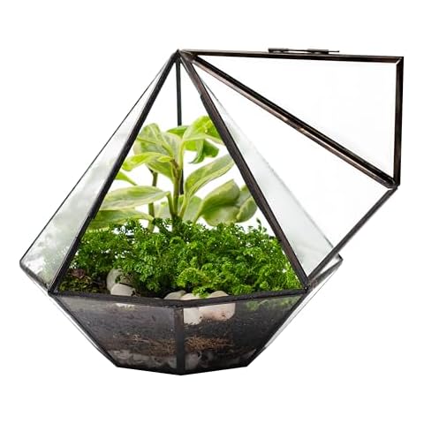 KraftStories Clear Glass Terrarium with Door | Diamond Design Container | Ideal Planter for Moss and Indoor Plants | Maintains Humidity | Self-Sustaining Indoor Garden Ecosystem (Terrarium Only) Cover