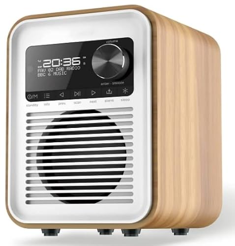 DAB-Radio mit Fernbedienung Inscabin D6 Tragbares DAB Radio