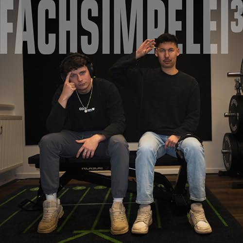 『FACHSIMPELEI&sup3;』のカバーアート