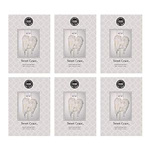 Bridgewater Candle Sachet Air Freshener Bag for Home or Car 6 Pack-Sweet Grace
