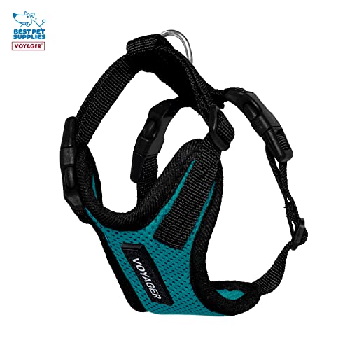 Image of Best Pet Supplies Voyager Step-in Lock Pet Harness w Reflective Pet Leash Combo Set with Neoprene Handle 5ft - Supports Small, Medium and Large Breed Puppies /Cats - Turquoise /Black Trim, XXXS