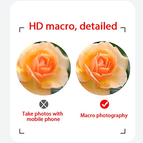 2 in 1 Handy Objektiv Macro Phone Camera Lens,Weitwinkel Makro Objektiv Cell Phone Camera Lens 2 in 1,Macro Lens Clip on Smartphone Objektiv Kit,Phone Kameras Objektiv Kit Universal Objektiv Kit â Bild 6