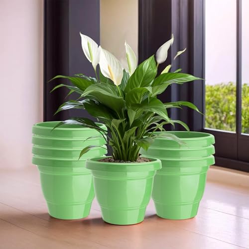 Image of Kuber Industries (Pack of 8) Flower Pot | Pots for Terrace, Garden (6 Inch) 2-Layer Fuldani Flower Pot | Pots Stand for Plants | Phooldaan for Home D?cor | Synergy Indoor Plant Stand | Green