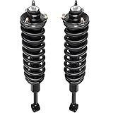 Complete Struts Shock Absorbers Fits for 2003-2020 for Toyota 4Runner,2007-2014 for Toyota FJ Cruiser,2005-2015 for Toyota Tacoma cciyu 171371L 171371R Quick Struts Assembly Front Pair Struts 4WD