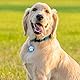 MYLUCKYTAG NFC & QR Code Smart Pet ID Tag Personalisierte Hund-Katze-Tag, Online-Haustier-Profil, Haustier Standort Alert E-Mail, Digital Pet Tag, Quiet Pet Tag, Durable Pet ID, Hundehalsband Tag
