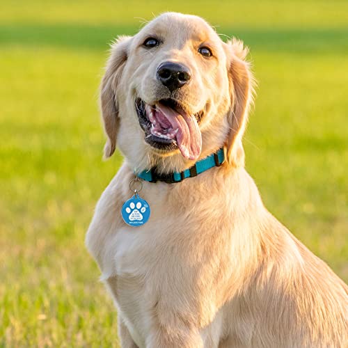 MYLUCKYTAG NFC & QR Code Smart Pet ID Tag Personalisierte Hund-Katze-Tag, Online-Haustier-Profil, Haustier Standort Alert E-Mail, Digital Pet Tag, Quiet Pet Tag, Durable Pet ID, Hundehalsband Tag