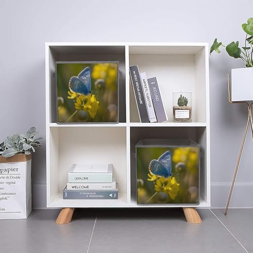 Boîtes de rangement pliables papillon pour optimiser un placard encombré - 6
