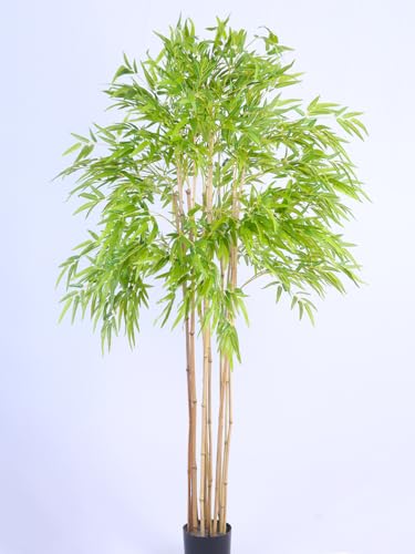 Image of ARICK DECOR 6Ft Artificial Bamboo Tree in Pot, 6ft Realistic Faux Bamboo Silk Plant with Natural Look Canes, Peacock Shaped Floor Decor for Home, Office & Balcony