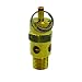 Ingersoll Rand 31385693 200 PSI Safety Valve