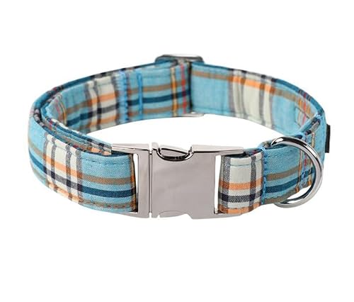 The 10 Best male dog collars  In 2022
