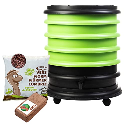WORMbox | Vermicompostaggio 4 Vassoi Anice Verde + 500g di Vermi Lombrichi / 1000 pz. + 1 Cocco | 64L | Compost di Rifiuti Organici Compostiera Vermifuga Lombricompostiera | Lombrichi = Humus lombrico
