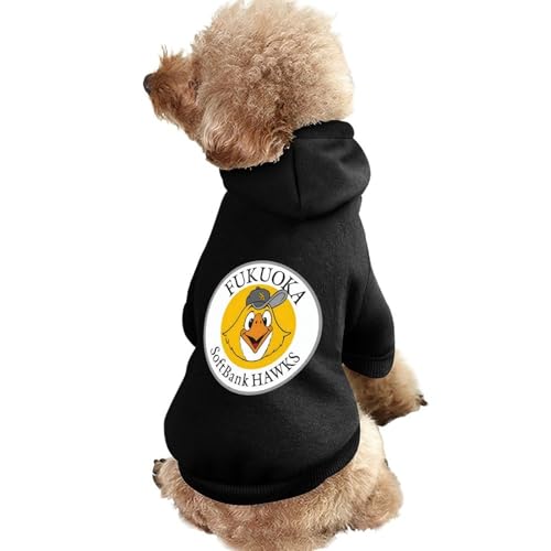 ybg \tgoNz[NX D SMBC{V[Y2025 45 L   h pRX`[ іh~ m ` XS g pWPbg