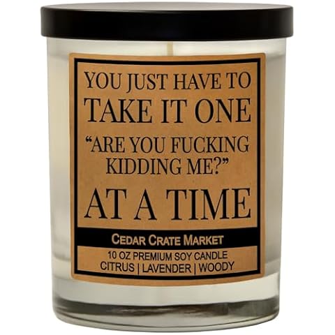 You Just Have to Take It | Funny Candles Gift for Women Friends Mom, BFF, Girlfriend, Boyfriend | Inappropriate Candles with Funny Sayings | Funny Lavender Scented Fuck It Candles | Made in USA Cover