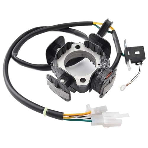 Bobine de stator d'allumage résout les pannes de démarrage KLX125