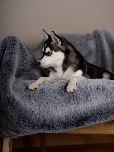 TrendPet Yuma Felldecke - Kuschelige Premium Hundedecke, geeignet für Hunde und Katzen oder in XXL als Sofadecke (170 x 100cm)