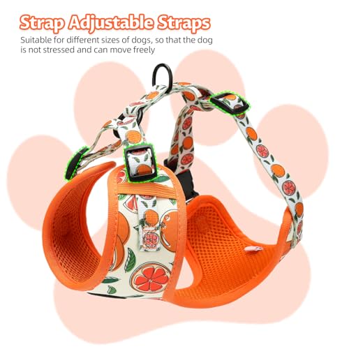 Small Dog Harness and Leash Set of 6, No Pull Soft Lightweight Mesh Puppy Harness, Adjustable Cute Floral Pattern Pet Harness for Small Medium Dogs - Image 6