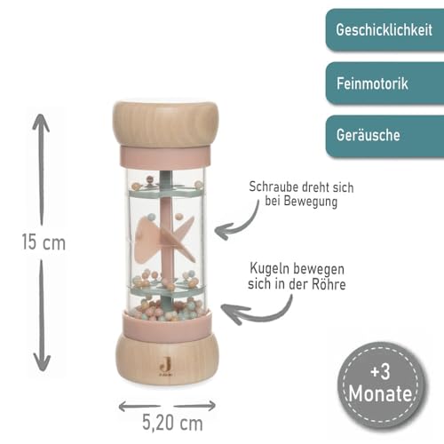 Regenmacher Rassel Baby aus Holz personalisierbar mit Name graviert Greifring für Baby Geschenk zur Geburt (Rosa)