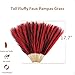 Acfruits Pampas Grass Small Black&Red, 30 Pcs 17