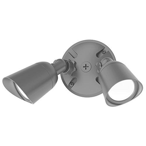 WAC Lighting WP-LED430-50-AGH 5000K Cool White Endurance Double Spot Energy Star LED Spot Light, Architectural Graphite