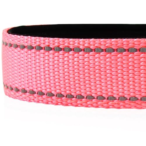 image for Joytale Reflective Dog Collar, Soft Neoprene Padded, Metal D-Ring, Nyl