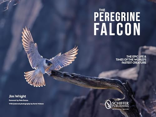 The Peregrine Falcon: The Epic Life and Times of the World's Fastest Creature – vue 2