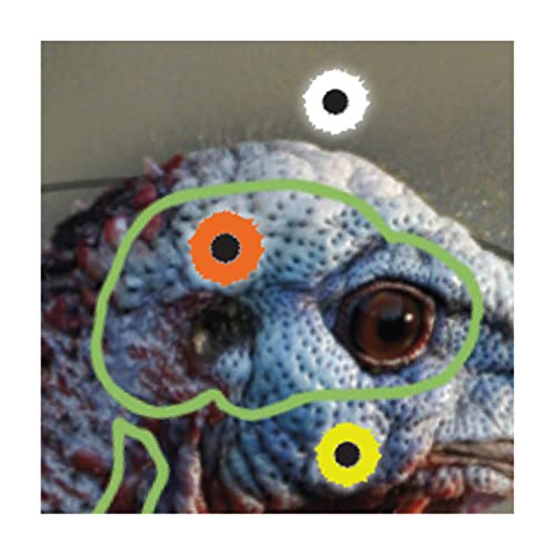 Birchwood Casey 35403 Shooting Target Pre Game Turkey Target 12 X 18, 8-Pack #TOP2