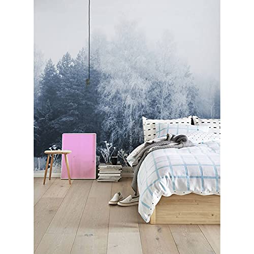 Papier peint muralo Coloray pour masquer les défauts des murs - 2