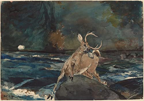 Affiches d'art a Good SAdirondacks Winslow Homer poster décoration murale toile