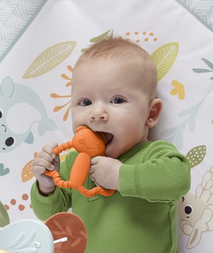 Image of Fisher-Price Newborn Baby Toy Bug Teether BPA-Free for Tummy Time & Travel Sensory Play for Infants Ages 3+ Months