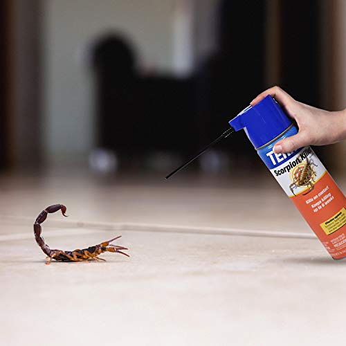 Image of TERRO Scorpion Killer Aerosol Spray T2101