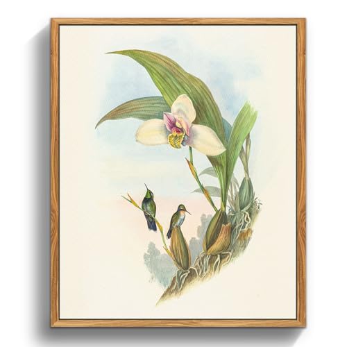 crmotu Bird Framed Wall Art, Hummingbird Daffodil Vintage Canvas Prints, Animal Botanical Nature Wall Decor, Floral Retro Rustic Kitchen Decorations Wall Pictures for Bedroom Desktop, 9x11inch