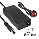 HPGAAVD 42V 2A Electric Scooter Charger, 36V E-bike Universal Lithium Battery Charrger, E-bike, E-scooter Quick Charger DC2.1×5.5MM