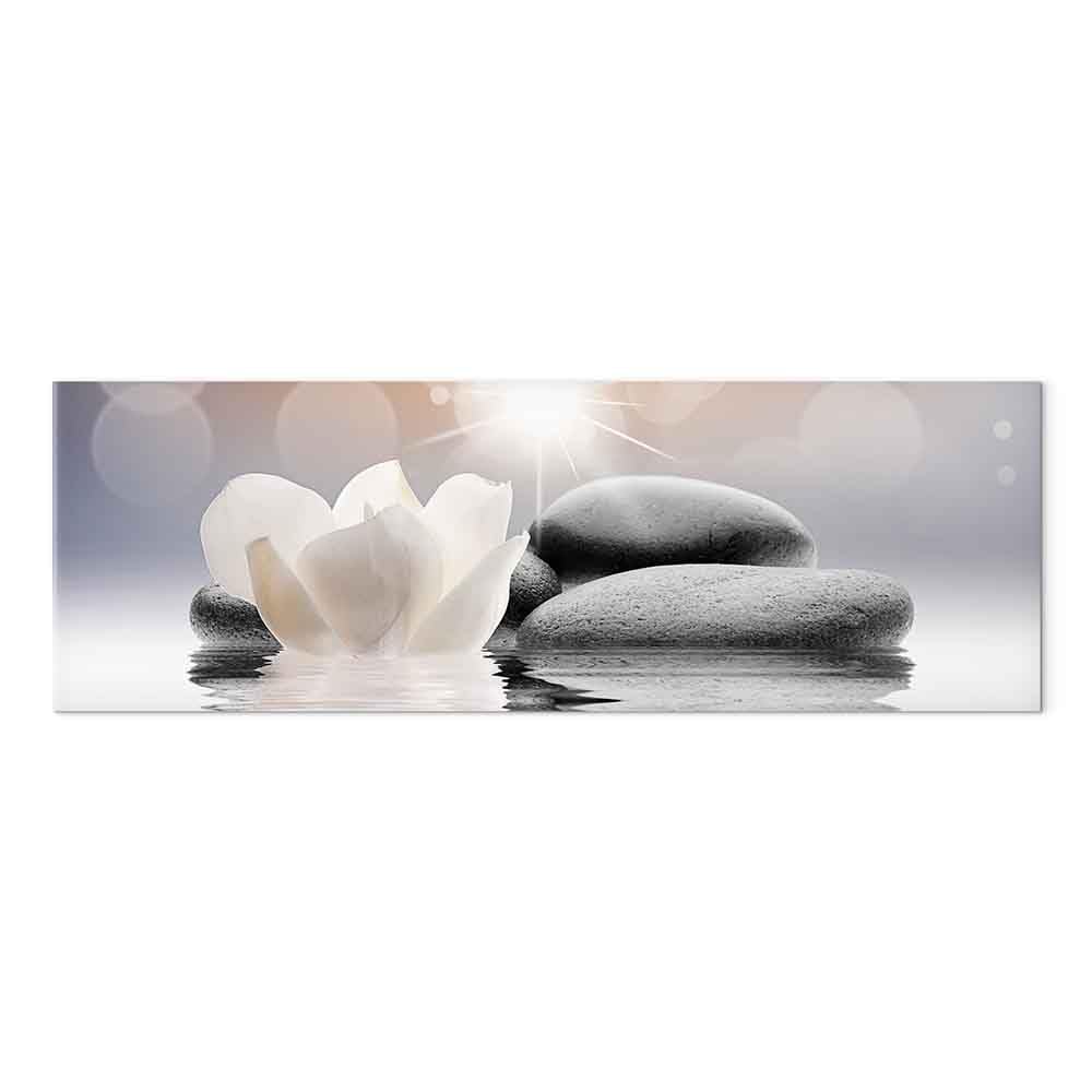 murando - Quadro Fiori Giglio 150x50 cm - 1 pezzo Stampa su Tela XXL Quadri Moderni Murale Moderno Grafica Decorazioni da Parete per il Soggiorno Floreale Pietre Beige Natura b-B-0268-b-a
