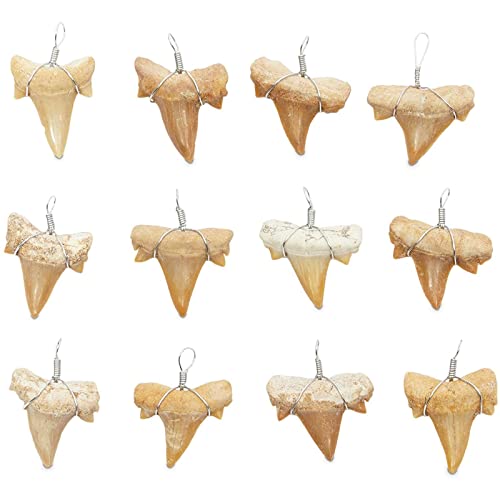 Bright Creations Tooth Pendants
