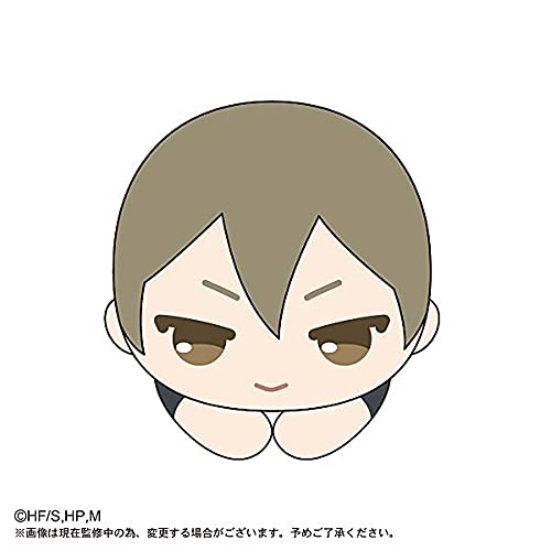 Amazon.co.jp: 【木葉秋紀】 ハイキュー!! はぐキャラ