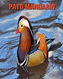 pato mandarin caracteristicas  Pato mandarín: Libro para niños con imágenes asombrosas y datos curiosos sobre los Pato mandarín