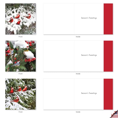 Image of Best Card Co 10 Christmas Boxed Cards Birds MQ5030XSG-B1x10