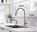 Kitchen Faucet-Single Handle Stainless Steel Kitchen Sink Faucet with Pull Down Sprayer Solid Brass Faucets for Kitchen Sinks (Brushed Nickel Moone )