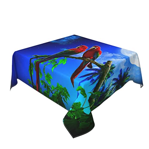 Nappe carrée perroquet pour protéger et décorer la table de cuisine - 7