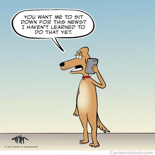 Making Bad News Funny!!! Podcast Por  arte de portada