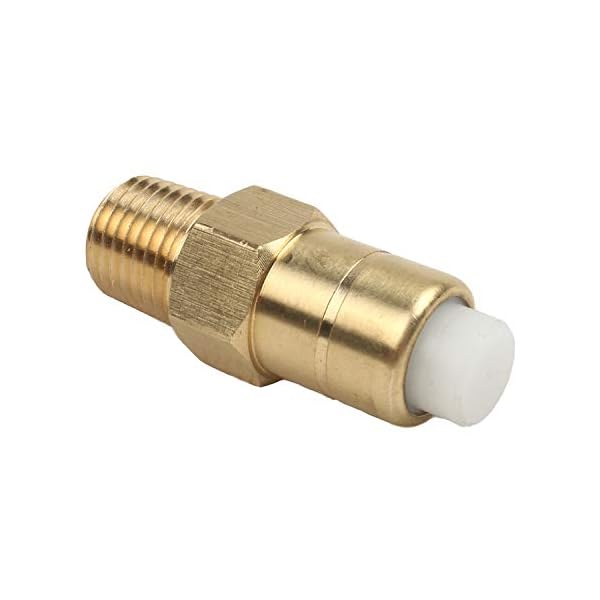 WILTEEXS Heavy Duty Brass Pressure Washer Replacement Thermal Release
