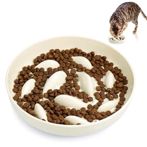 Huiguli Anti Schling Napf Katzen, Slow Feeder Kleine Hunde rutschfest, Katzen Näpfe Langsam Fütterung Hundenapf Katzennapf (16cm x 16cm)