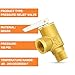 GASHER 1PCS Brass Temperature Pressure Relief Valve with 1/2