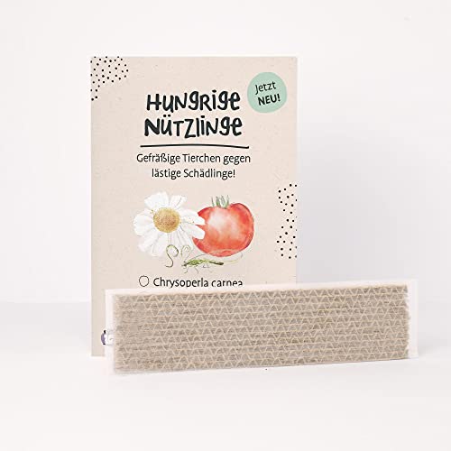 PRIMOZA Florfliegenlarven zur Schädlingsbekämpfung I 500 Nützlinge für deine Zimmerpflanzen I gegen Blattläuse, Thripse und Milben I Stark gegen Trauermücken I einfache Anwendung mit Anleitung Cover