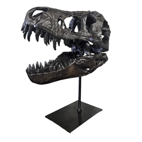 T-Rex Schädel XXL auf Metallständer - Replica - Tyrannosaurus Rex - Dinosaurier - Fossil - Luxus Deko - 30x25 cm