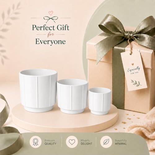 Image of Xtore Studio Ceramic Ribbed Planter Set | Vertical Groove Plant Pots for Home & Office Decor - (Set of 3, White, Planter ONLY)