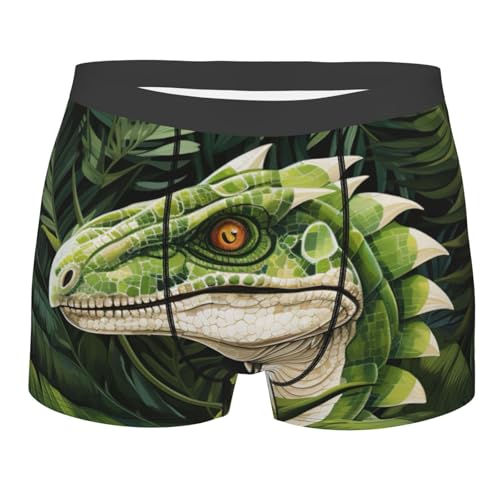 Evengigy Boxer pour homme avec imprimé feuille de palmier dinosaure, cadeau amusant personnalisé pour homme, Noir , XL